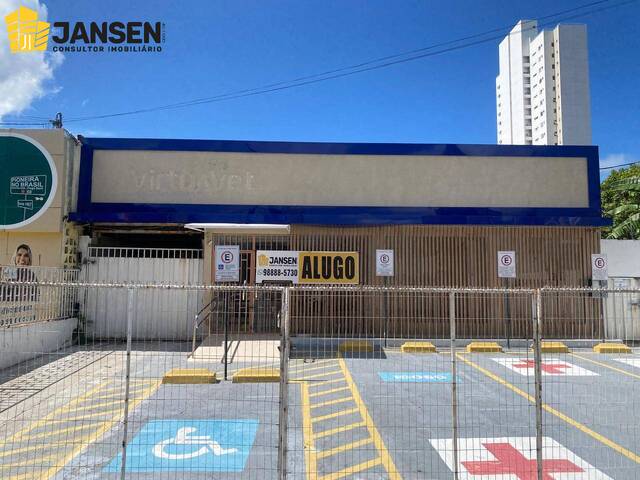 pespectiva frontal II