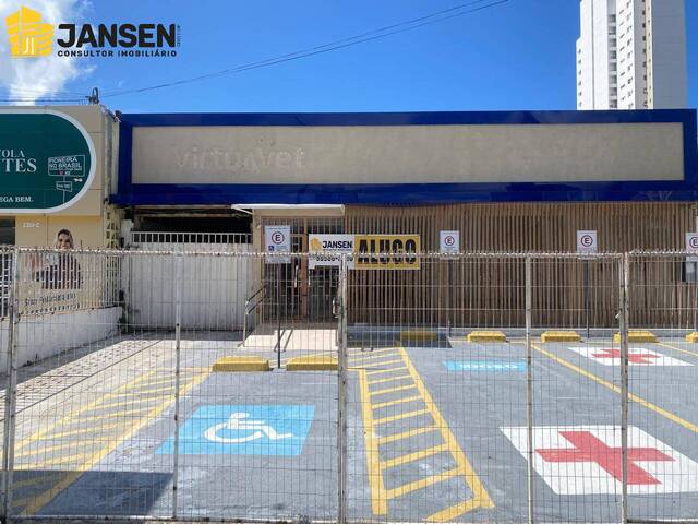 pespectiva frontal I