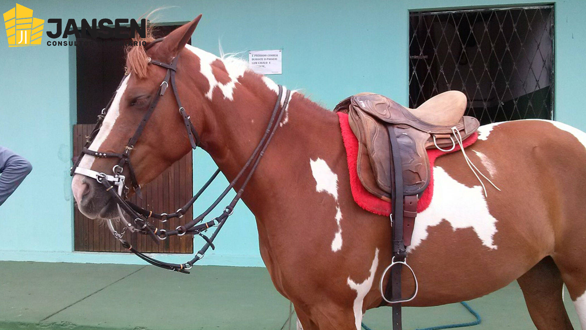 Casa, 5 quartos, 600 m² - Foto 39