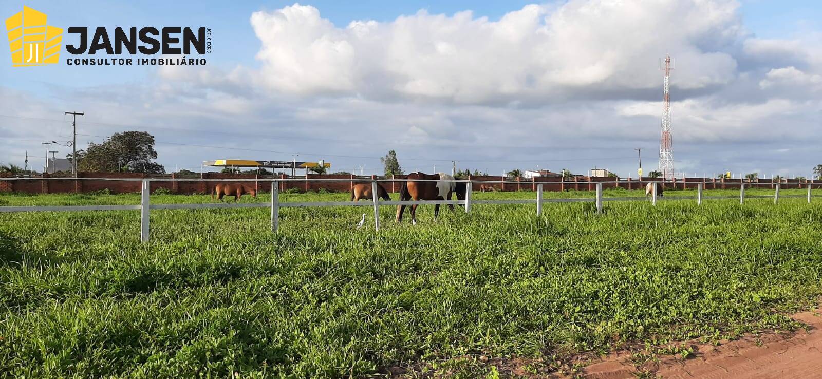 Casa, 3 quartos, 750 m² - Foto 33