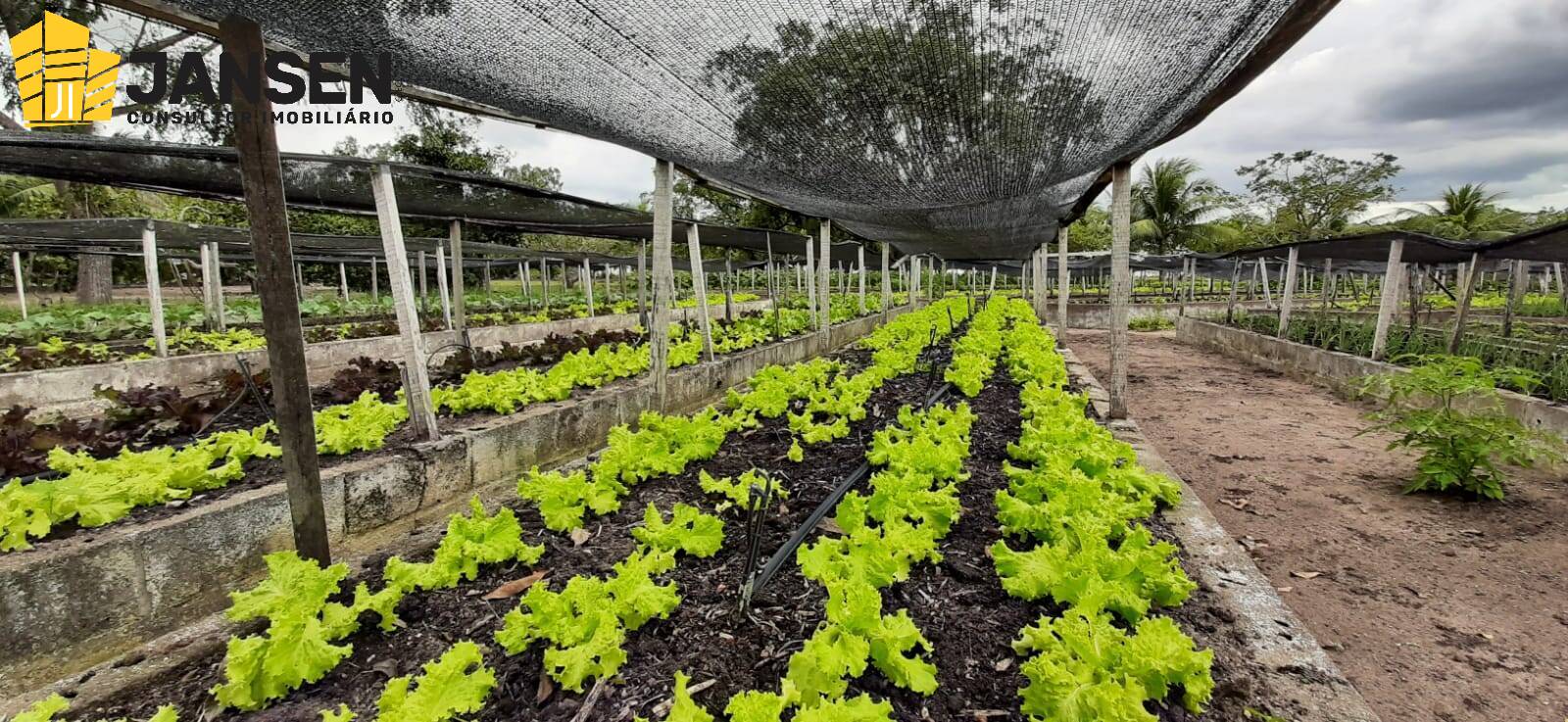 Casa, 3 quartos, 750 m² - Foto 41