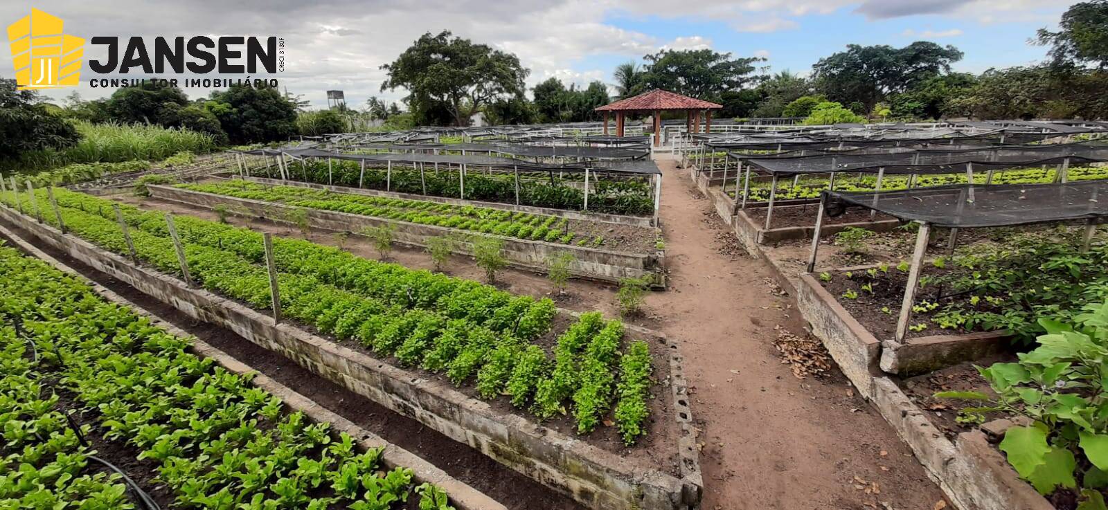 Casa, 3 quartos, 750 m² - Foto 42