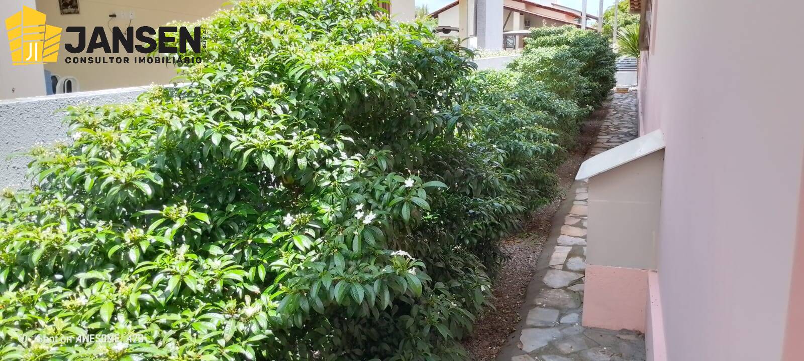 Casa à venda com 3 quartos, 600m² - Foto 15